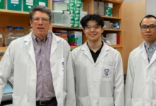 The study shows that the researchers' patented therapeutic candidate, HLP, has the ability to drive out the last remnants of HIV-1. (From left) Schulich School of Medicine & Dentistry Prof. Eric Arts, master’s student Ryan Ho and postdoctoral scholar Minh Ha Ngo. Megan Morris/Schulich School of Medicine & Dentistry